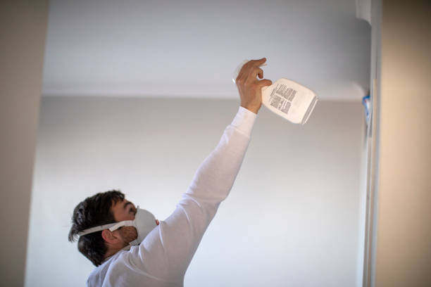 Best Commercial Mold Remediation in Gladwin, MI